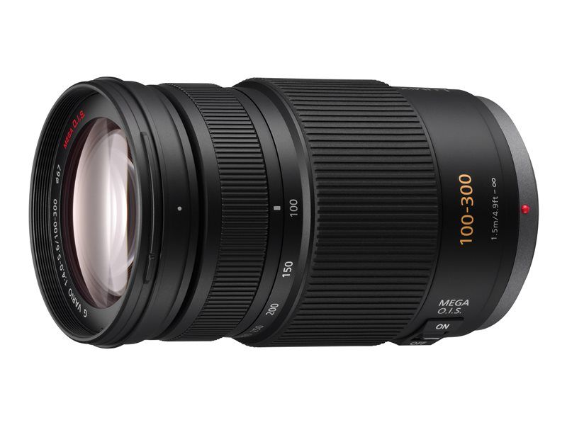 Panasonic Lumix H-FS100300 Telephoto Lens - 100mm-300mm - f/4.0-5.6 G VARIO - Micro Four Thirds