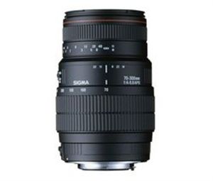 Sigma 70-300mm f/4-5.6 DG APO Macro Lens