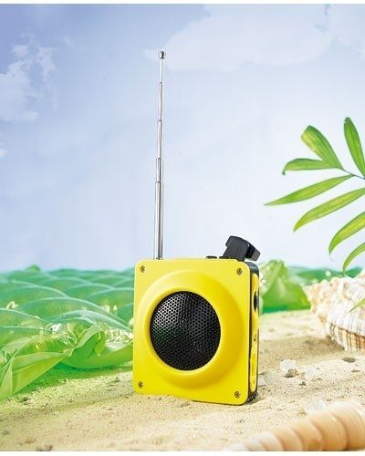Pearl Dynamo FM Radio