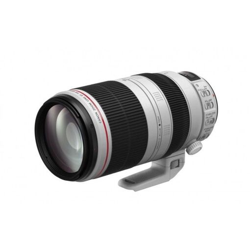 Objectif Canon EF 100-400mm f/4,5-5,6L IS II USM