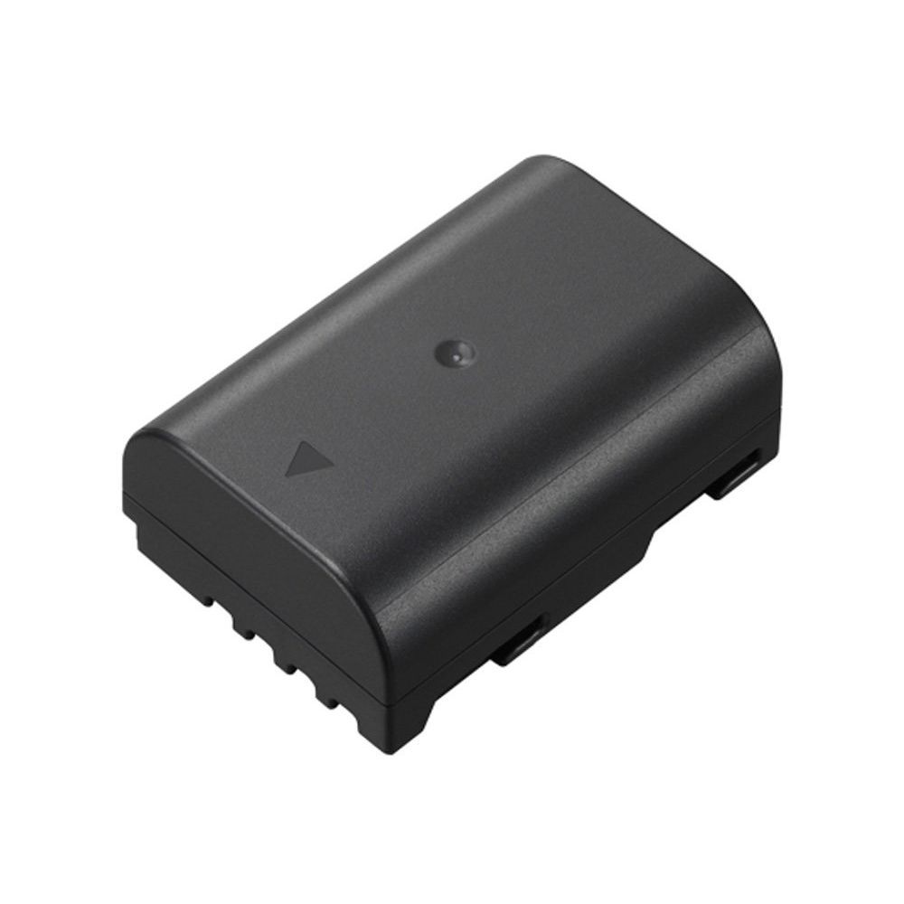 Batterie Panasonic DMW-BLF19 lithium-ion pour GH3