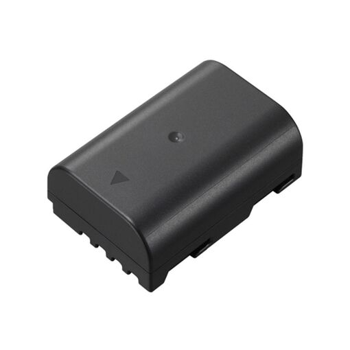 Panasonic DMW-BLF19 Lithium-Ion Battery for GH3