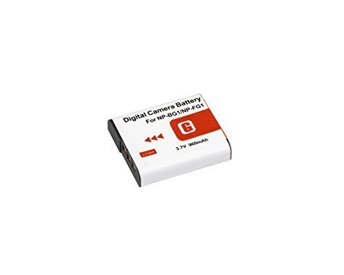 Batterie Bresser Li-ion pour caméscope Sony type NP-BG1, 960mAh 3,7V