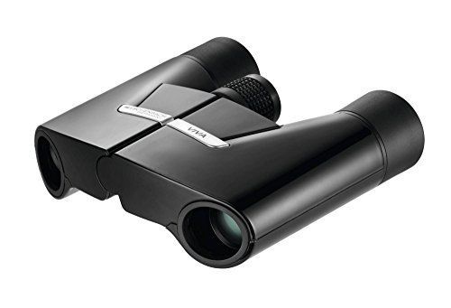 Binoculares Eschenbach Viva 15x6 - Negro