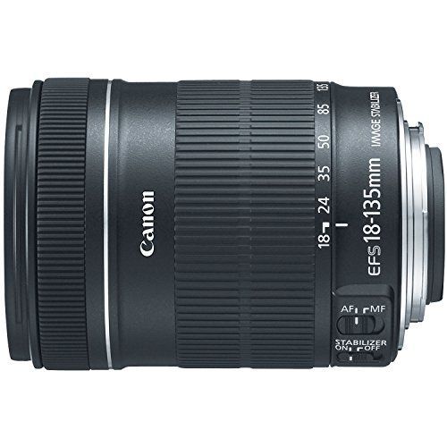 Canon EF Zoom Lens 24-105mm f/3.5-5.6 IS STM