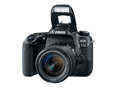 Canon EOS 77D + EF-S 18-55mm IS STM Lens