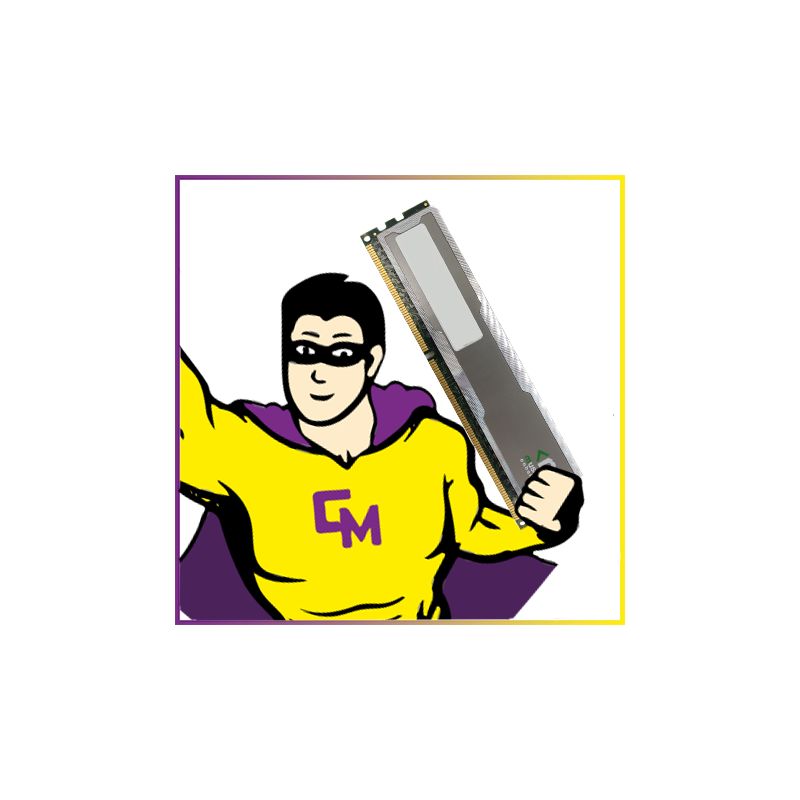 Mushkin Enhanced Essentials 2Go RAM PC3-12800 DDR3 1600Mhz CL9