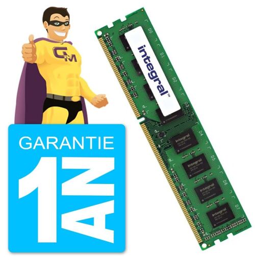 Módulo de memoria RAM DDR3 8GB (IN3T8GNZJII) - Integral