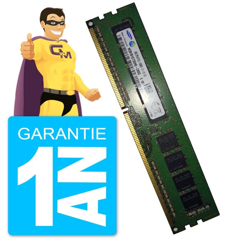 Samsung 8GB DDR3 PC3-12800E RAM (M391B1G73QH0-CK0Q)