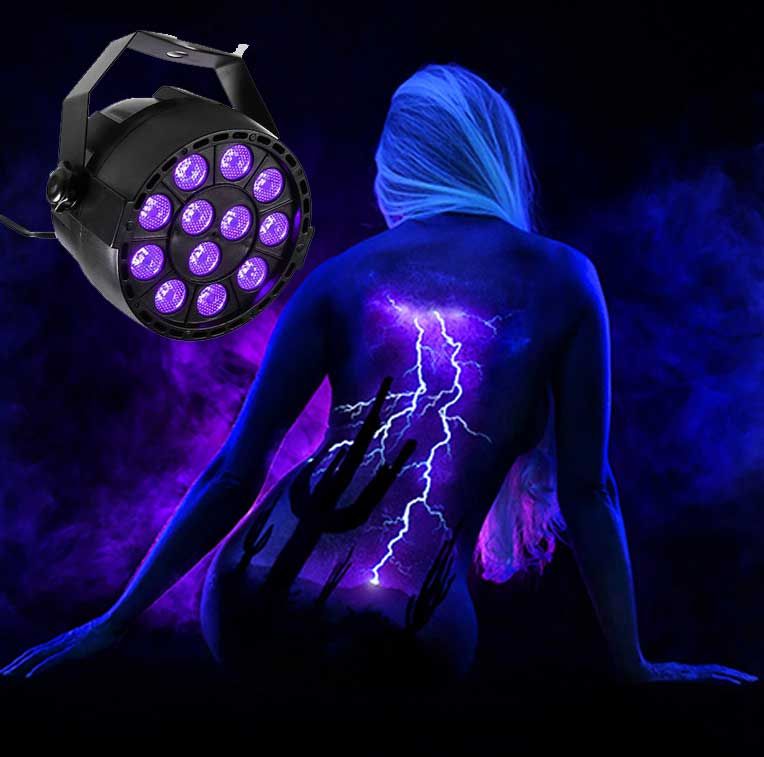 Ibiza UV Mini LED Projector (12x2W)