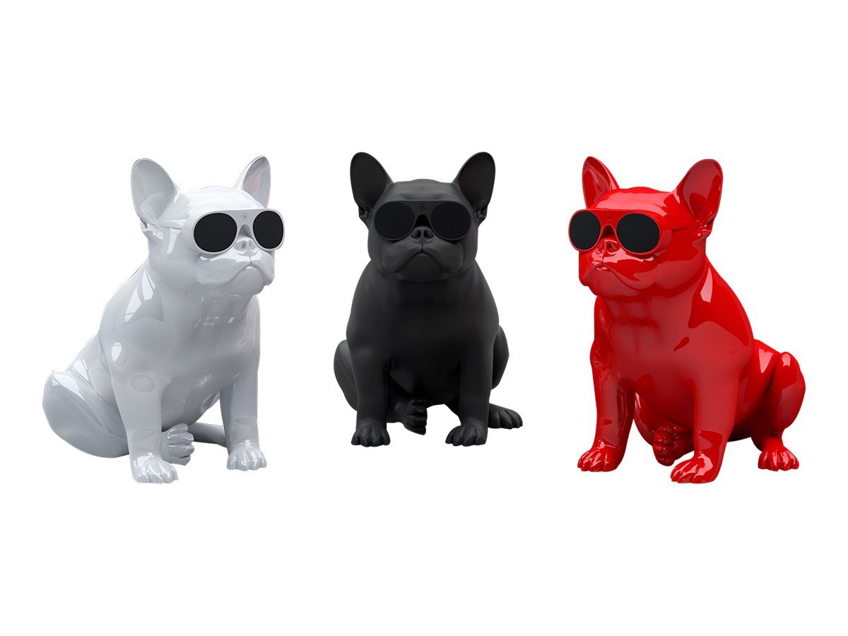 Jarre AeroBull XS1 Wireless Bluetooth Speaker - Black