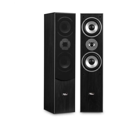 Haut-parleur LOTRONIC L766-BL - Noir