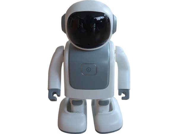 Allnet Robert Robot with Bluetooth Speaker