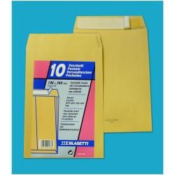 Blasetti CF10 25x35 Inch Buyste Sack with Deflator