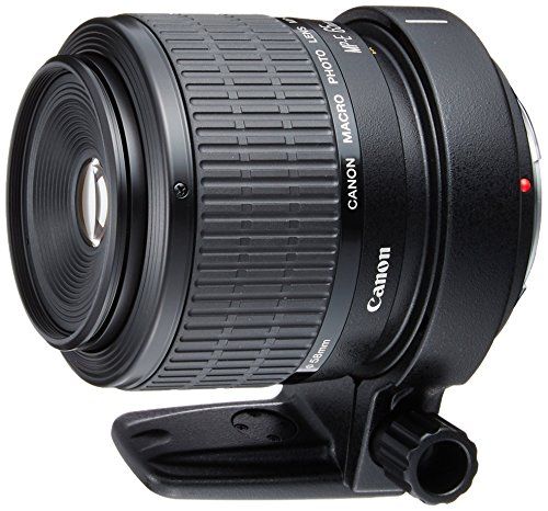 Canon MP-E 65mm f/2.8 1-5x Macro Lens