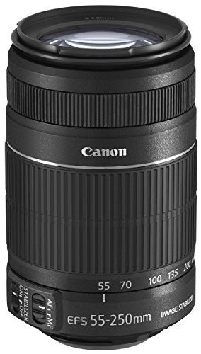 Canon EF-S 55-250mm f/4-5.6 IS II Lens