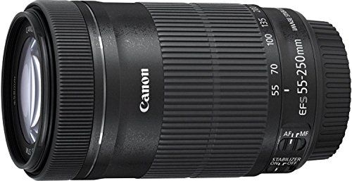 Canon EF-S 55-250mm f/4-5.6 IS STM APS-C Telephoto Lens