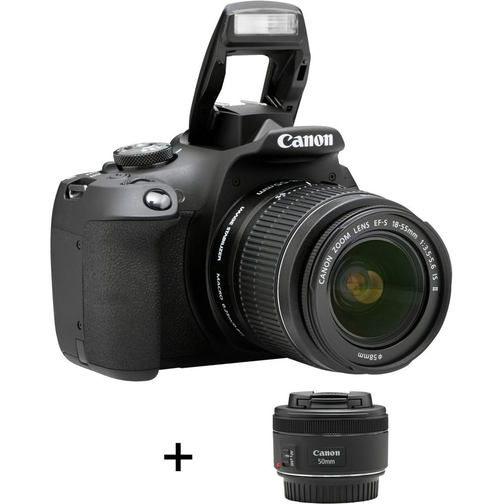 Canon EOS 2000D + EF-S 18-55 mm IS STM and EF 50 mm f/1.8 STM Camera Kit
