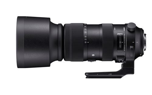 Sigma 60-600mm F4.5-6.3 DG OS HSM Sports Lens for Nikon