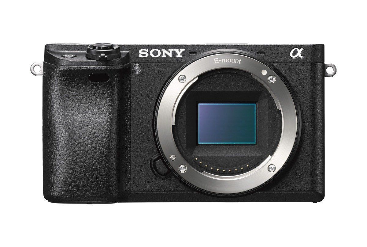 Sony Alpha 6300 with SEL 18-105mm f/4 G OSS PZ Lens