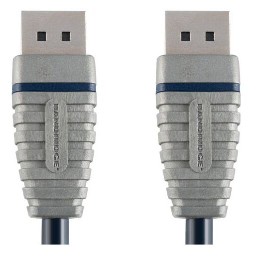 Cable Bandridge DisplayPort 2 m Negro y Plata