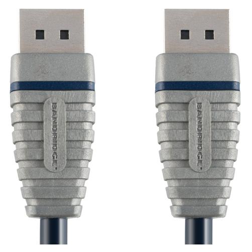 Câble Bandridge DisplayPort 2 m Noir et Argent