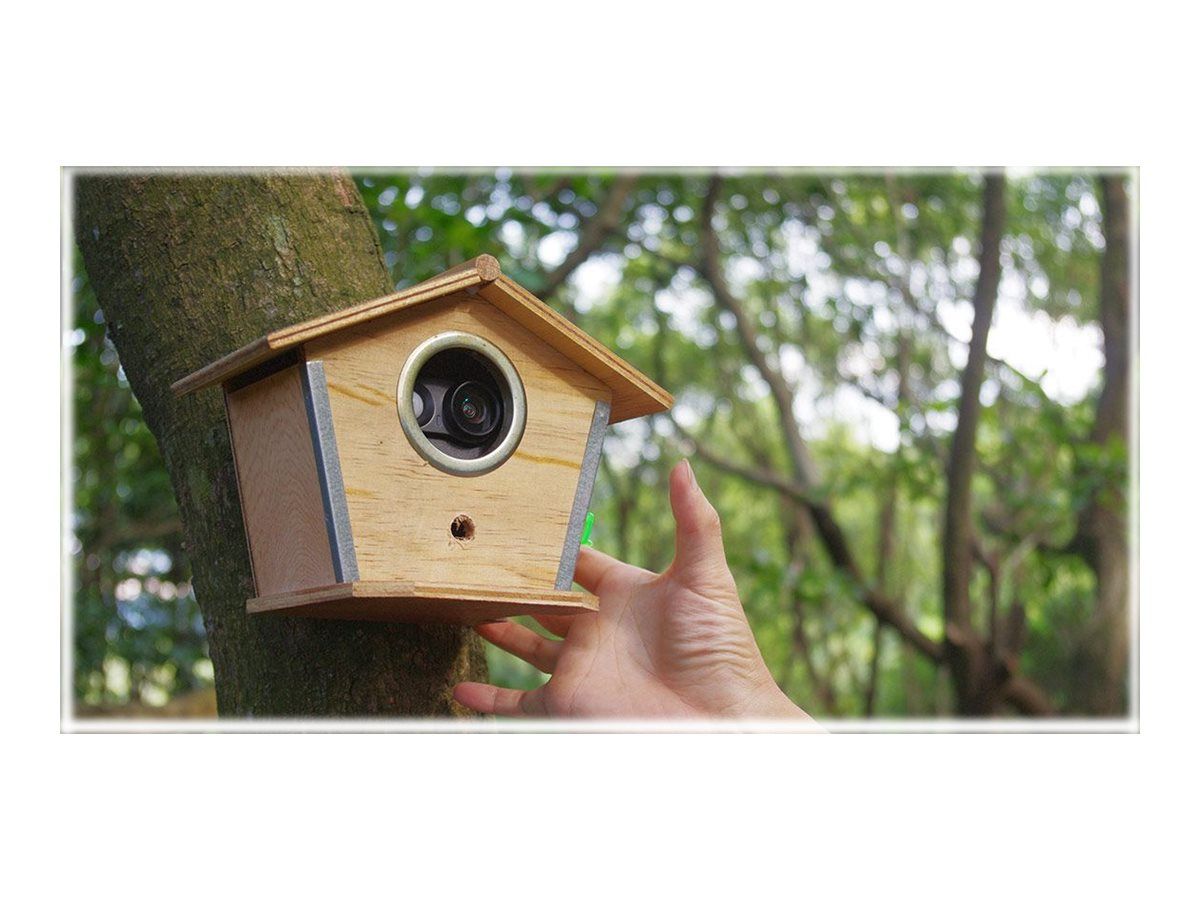 Brinno MAC200 DN Trap Camera - 1.3MP - 720p - Black