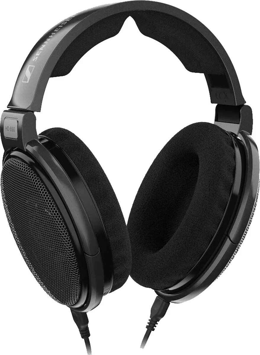 Sennheiser HD 650 Headphones - Circum-aural - Wired - 6.35mm Jack - Titanium