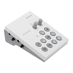 Roland GO:LIVECAST Speaker