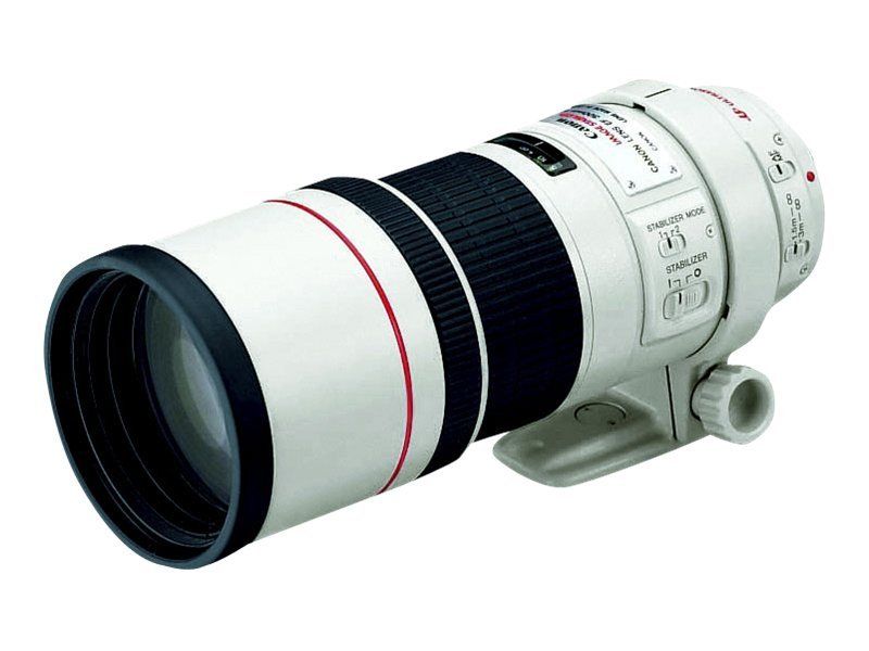 Canon EF 300mm f/4.0 L IS USM Telephoto Lens