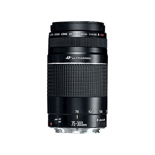 Objetivo Canon EF 75-300 mm f/4.0-5.6 III USM para EOS