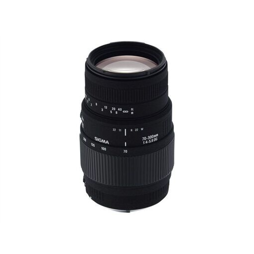 Sigma Macro Lens 70-300mm f/4.0-5.6 DG Macro (Nikon F Mount)