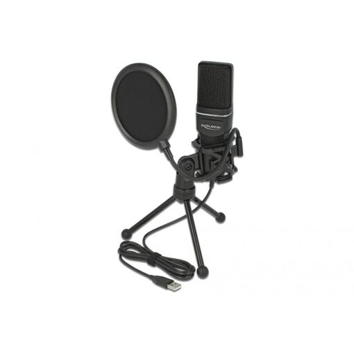 Delock Condenser Microphone Set - For Podcasting, Gaming and Singing