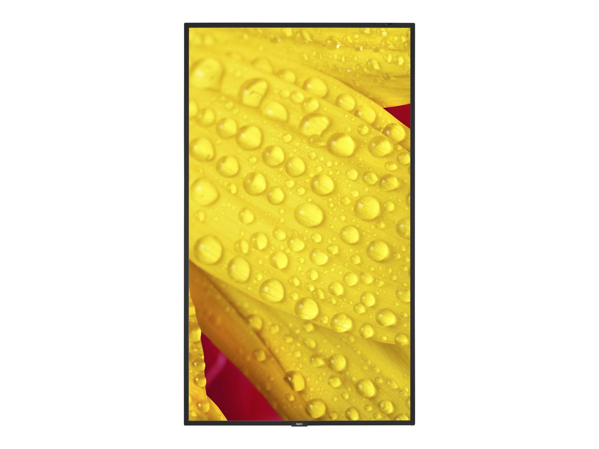 NEC MultiSync ME501 - 50-inch ME Series LED Backlit LCD Display - 4K UHD (2160p) 3840 x 2160 - Direct Light LED - Pantone 426M