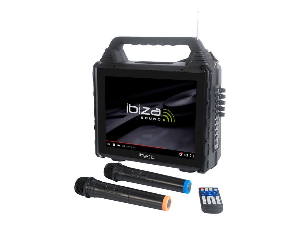 Ibiza Sound Portable Karaoke System