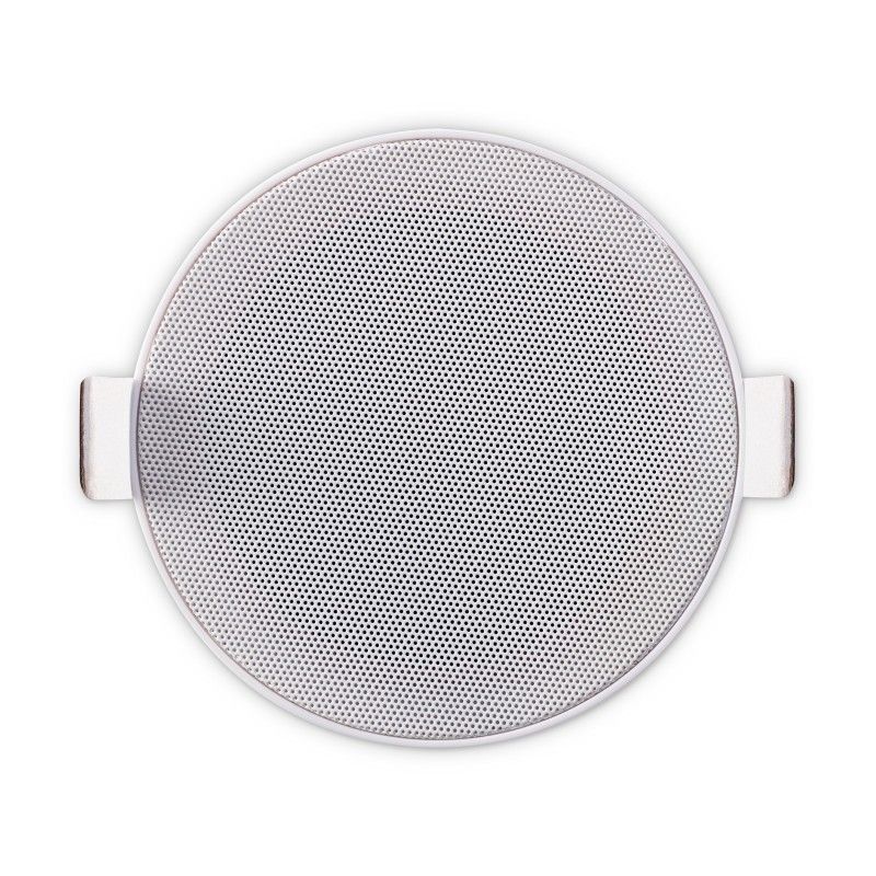 Art Sound FL30T (100V)
