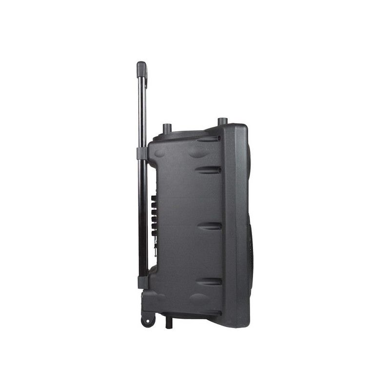 Dynasonic Dynapro 12 TWS Bluetooth Portable Speakers 22W Microphone Black (Refurbished C)