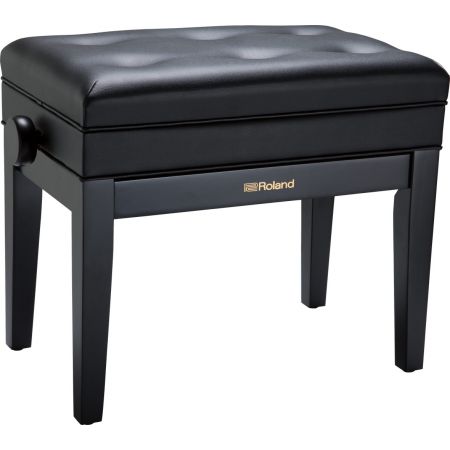 Roland RPB-400BK Speaker
