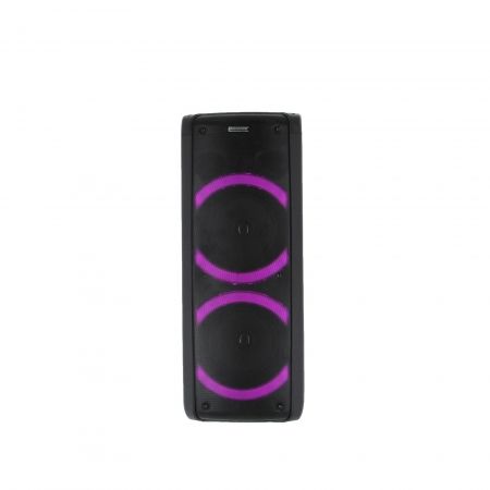 Power Acoustics GOFUN 100 Speaker