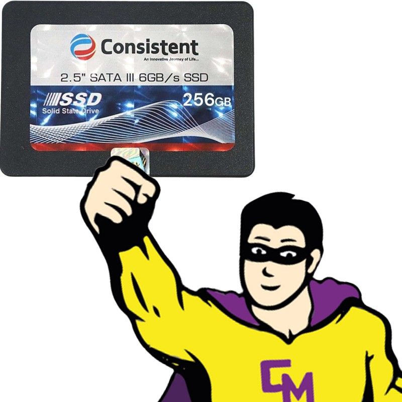 Consistent 256GB 2.5" SATA III SSD