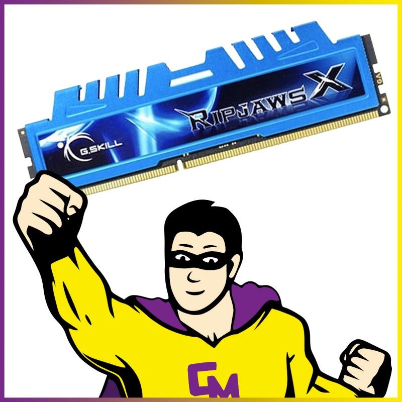 G.Skill Ripjaws F3-1600C9S-8GXM 8GB DDR3 RAM (1600MHz, CL9, 1.5V)