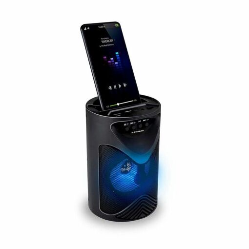 Dunlop Bluetooth Speakers TWS 15W Black USB