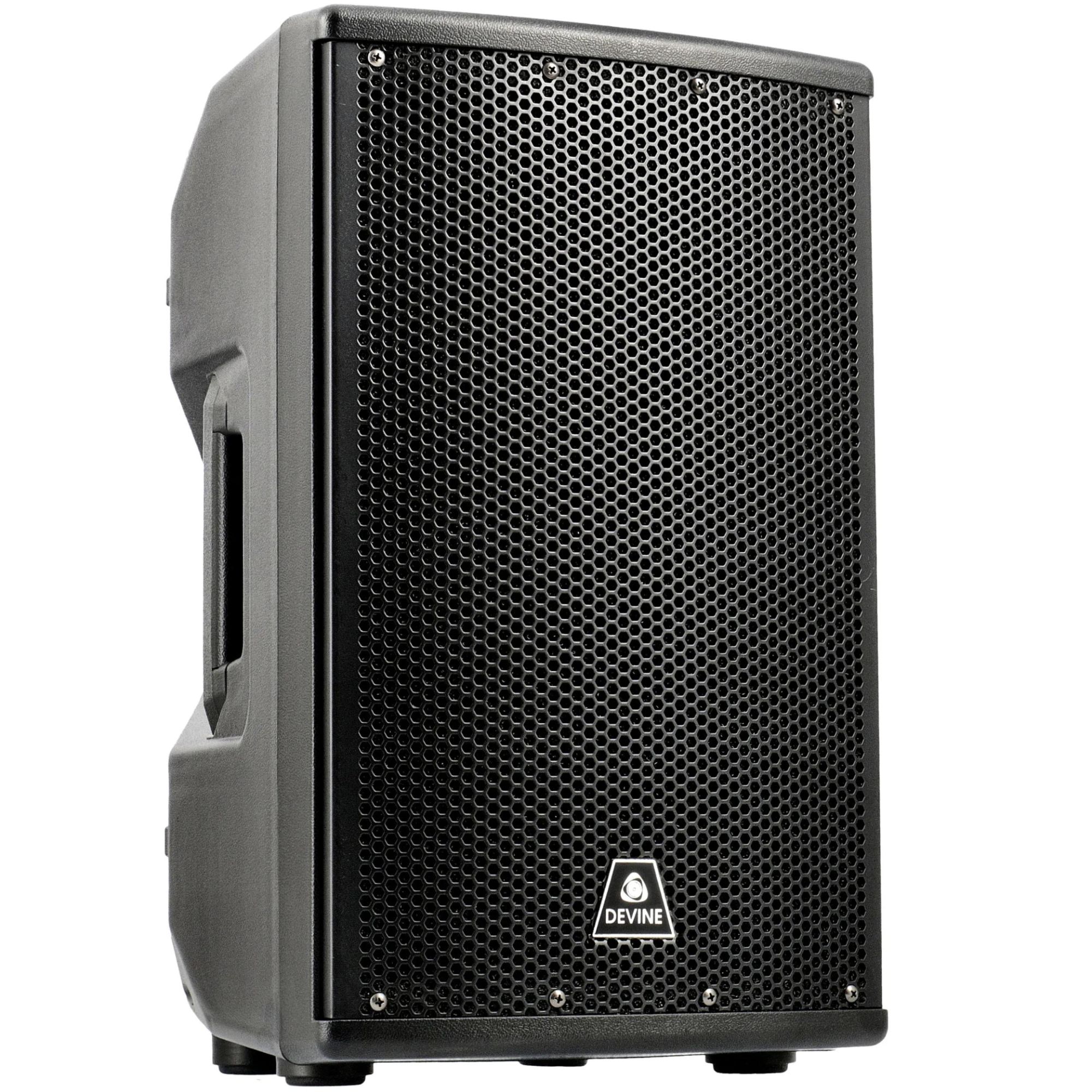 Devine Axeo 10 10-inch Passive Speaker, 150W