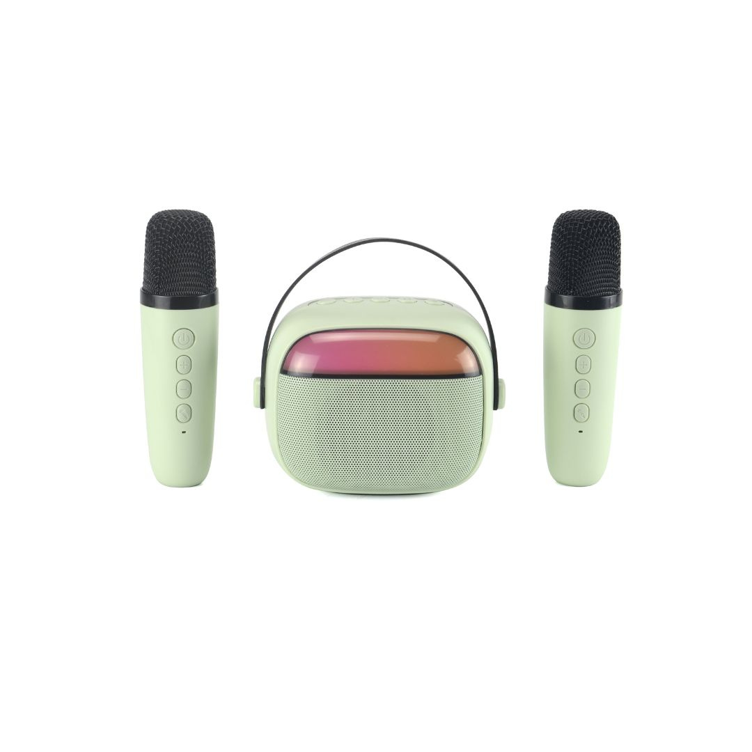 WE KIDS Mini Karaoke Speaker with LED Lights and Handle