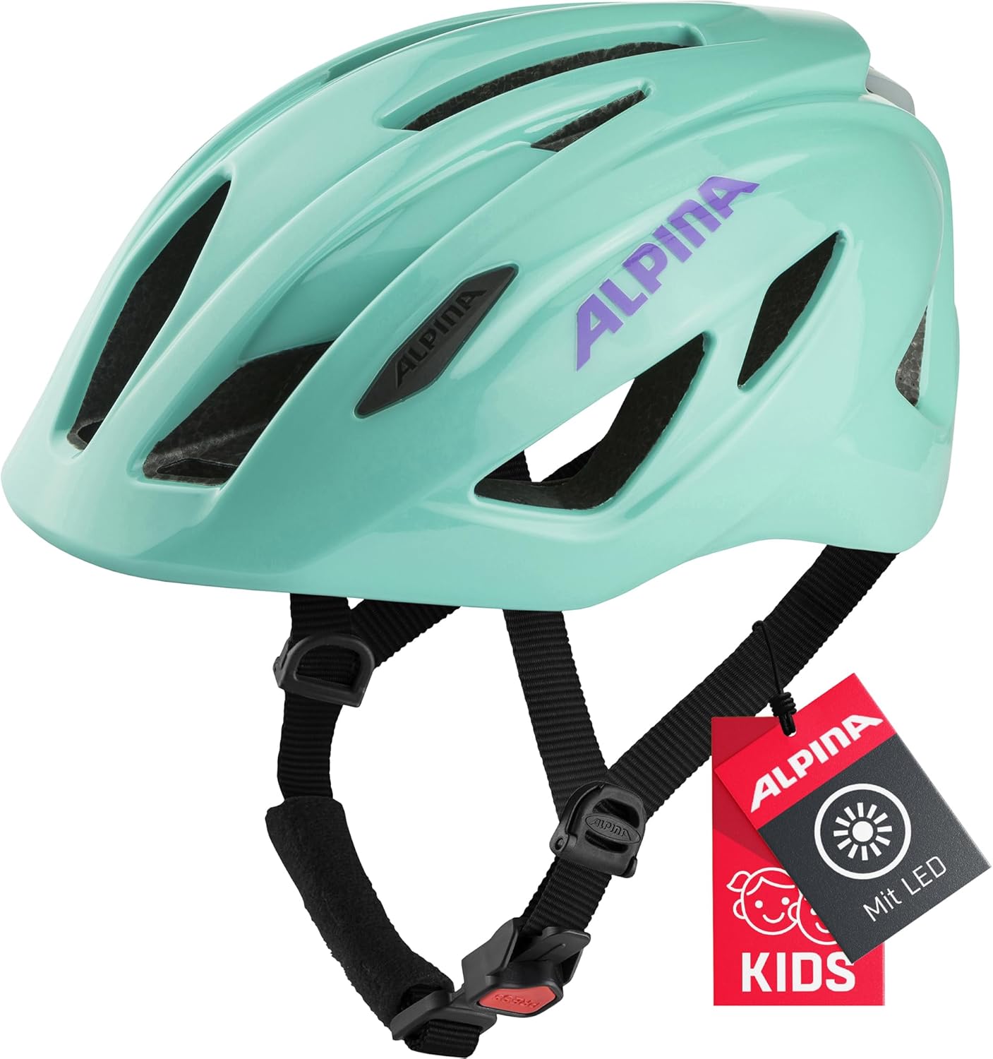Alpina SUBZONAL-PICO Flash Helm 2024
