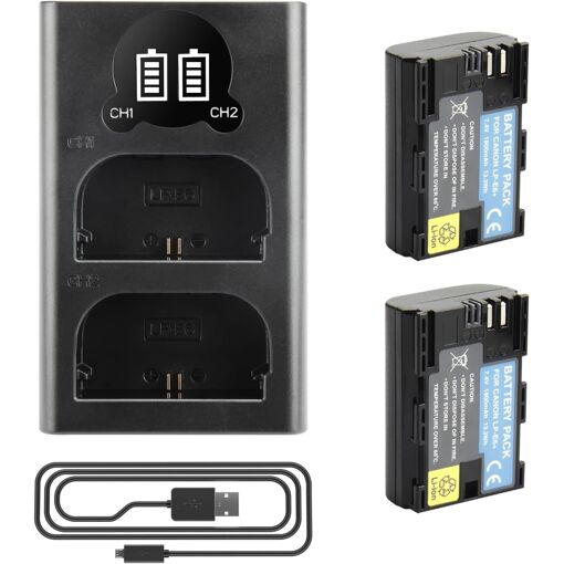 Batería recargable Joiry LP-E6N y cargador doble para cámaras Canon EOS