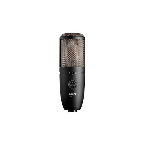 Casques AKG P420