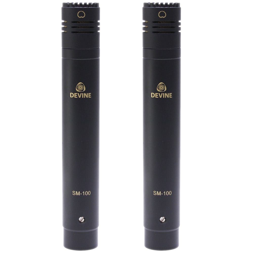 Devine Stereo Microphone Set SM-100