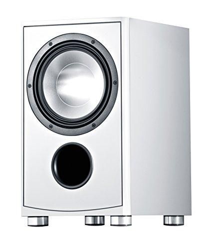 Canton Powerful Active Subwoofer