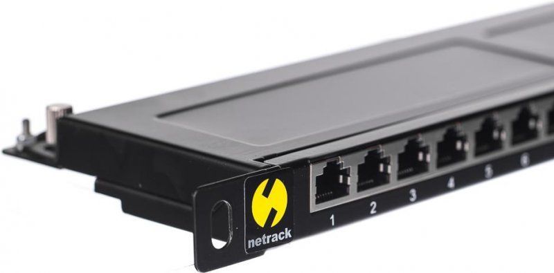 Netrack 19-Inch 24-Port Cat. 5e FTP Rack Mount Panel